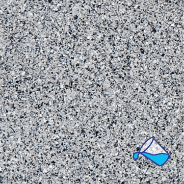 Grey Reef